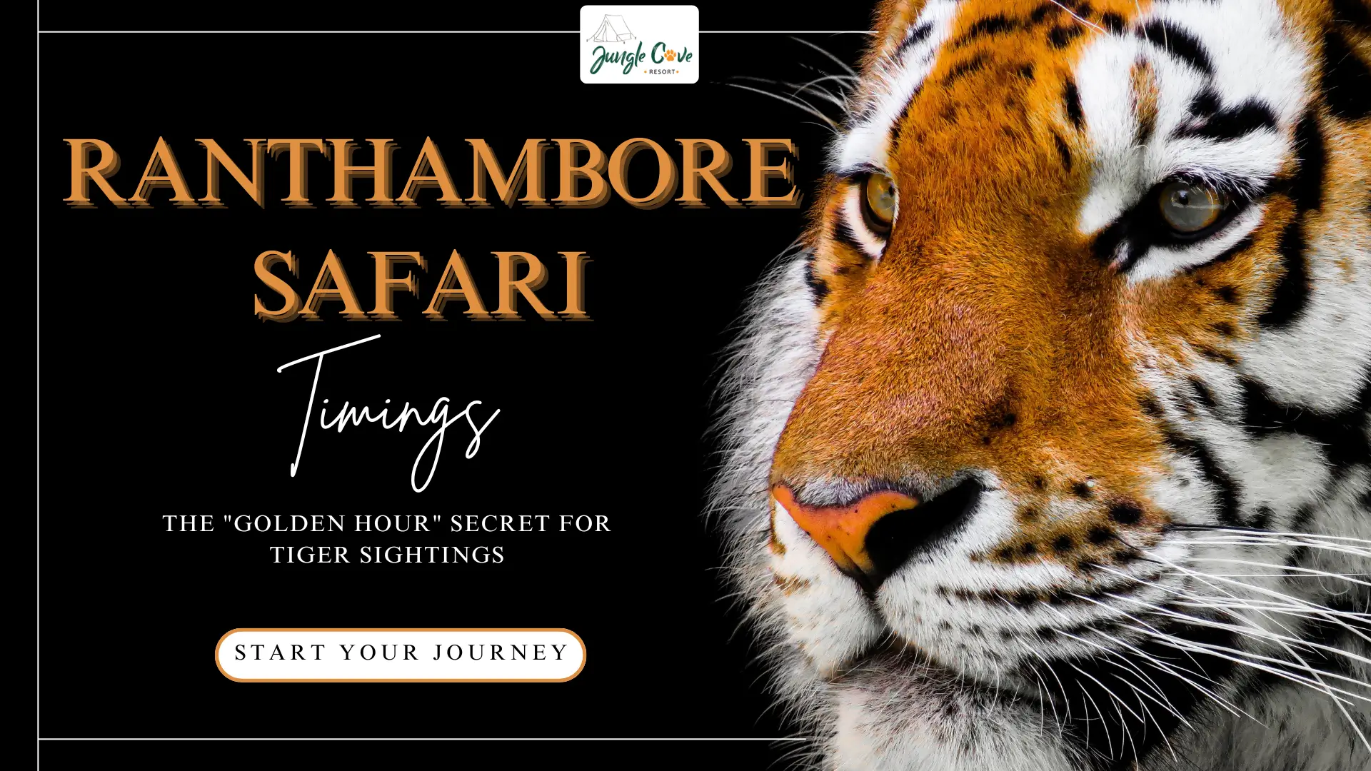Ranthambore Safari Timings (2026): The 'Golden Hour' Secret for Tiger Sightings
