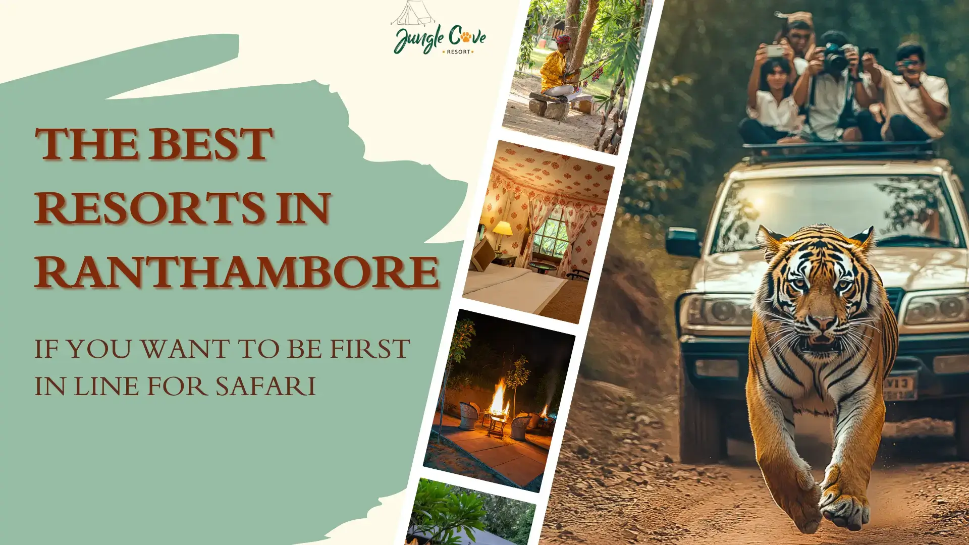 What to Look for Before You Book Your Ranthambore Stay (And What to Avoid)