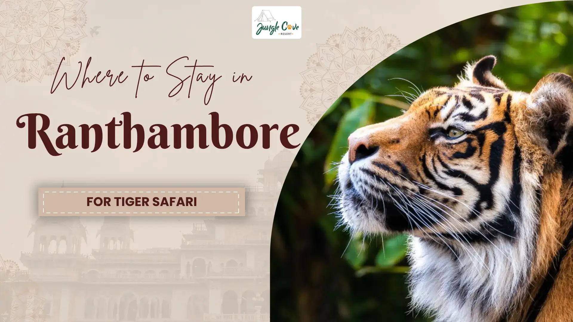 Where to Stay in Ranthambore for Tiger Safari: A Expert's Guide
